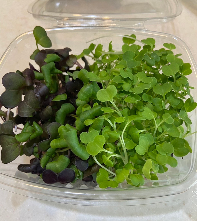 Radish & Bok Choy Small