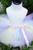 Unicorn Tutu, Pastel Rainbow Tutu - close-up