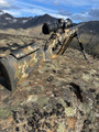 P2 Pro Hunter Adjustable Manners Stock