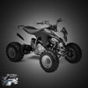 RAPTOR 250R 08-13