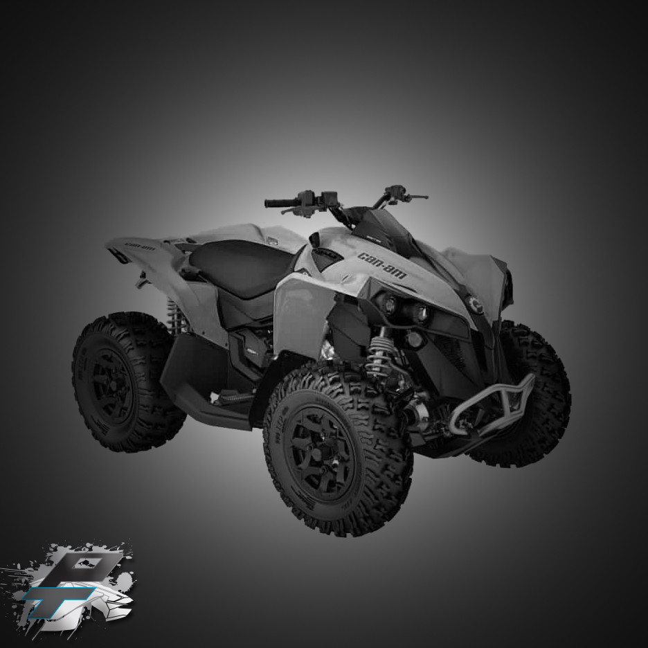 STANDARDRENEGADE 1000r 1819