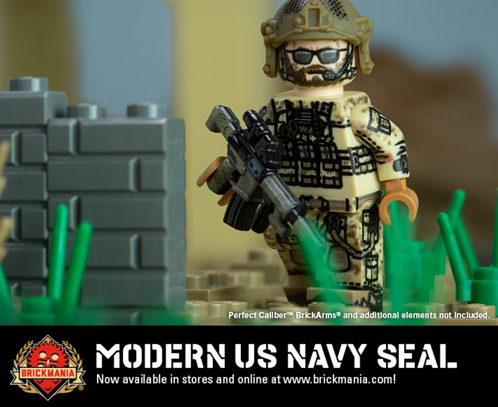 Modern US Navy SEAL