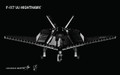 F-117® (A) Nighthawk® - Stealth Attack Aircraft