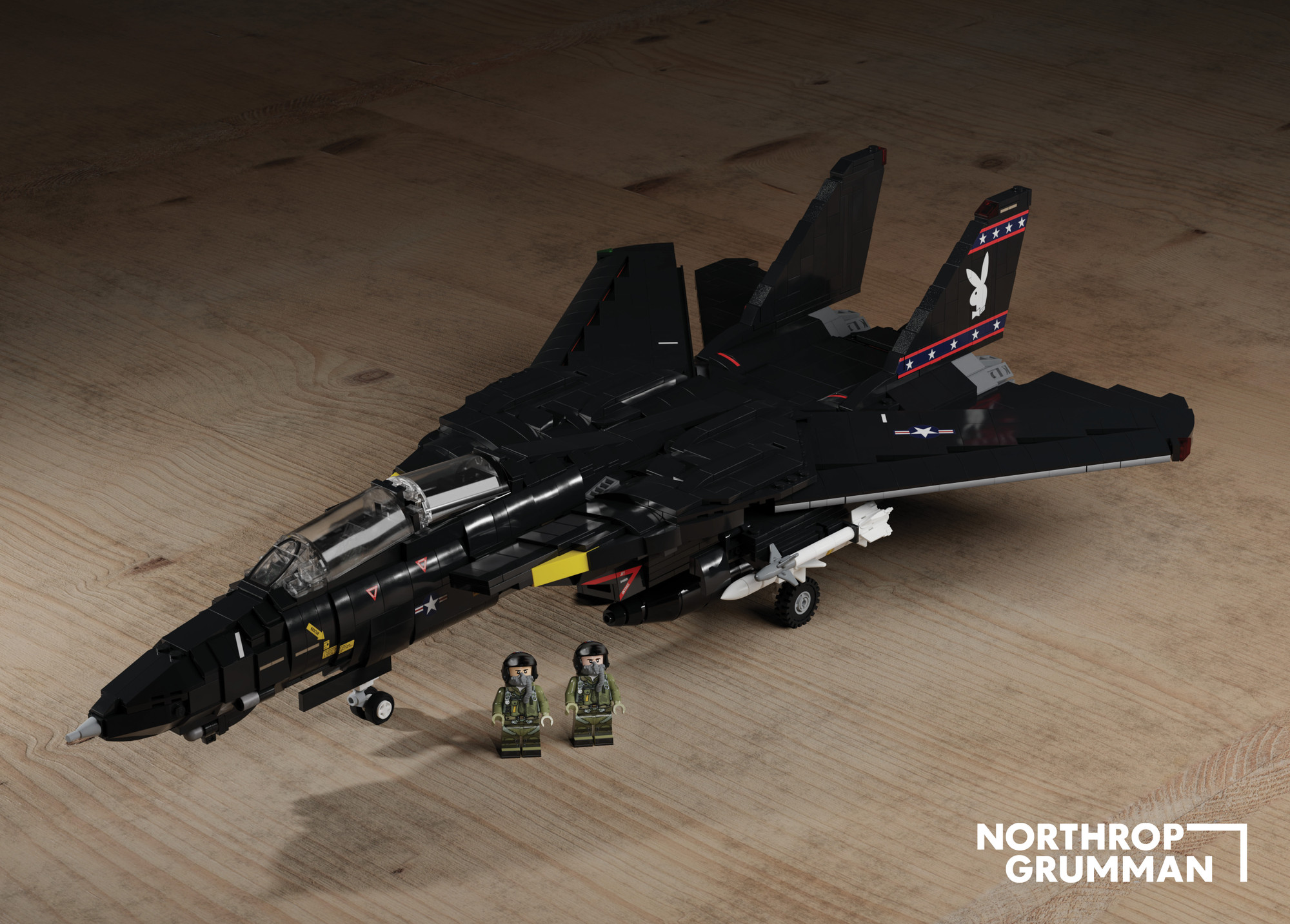 F-14D Tomcat® – VX9 The Vampires 