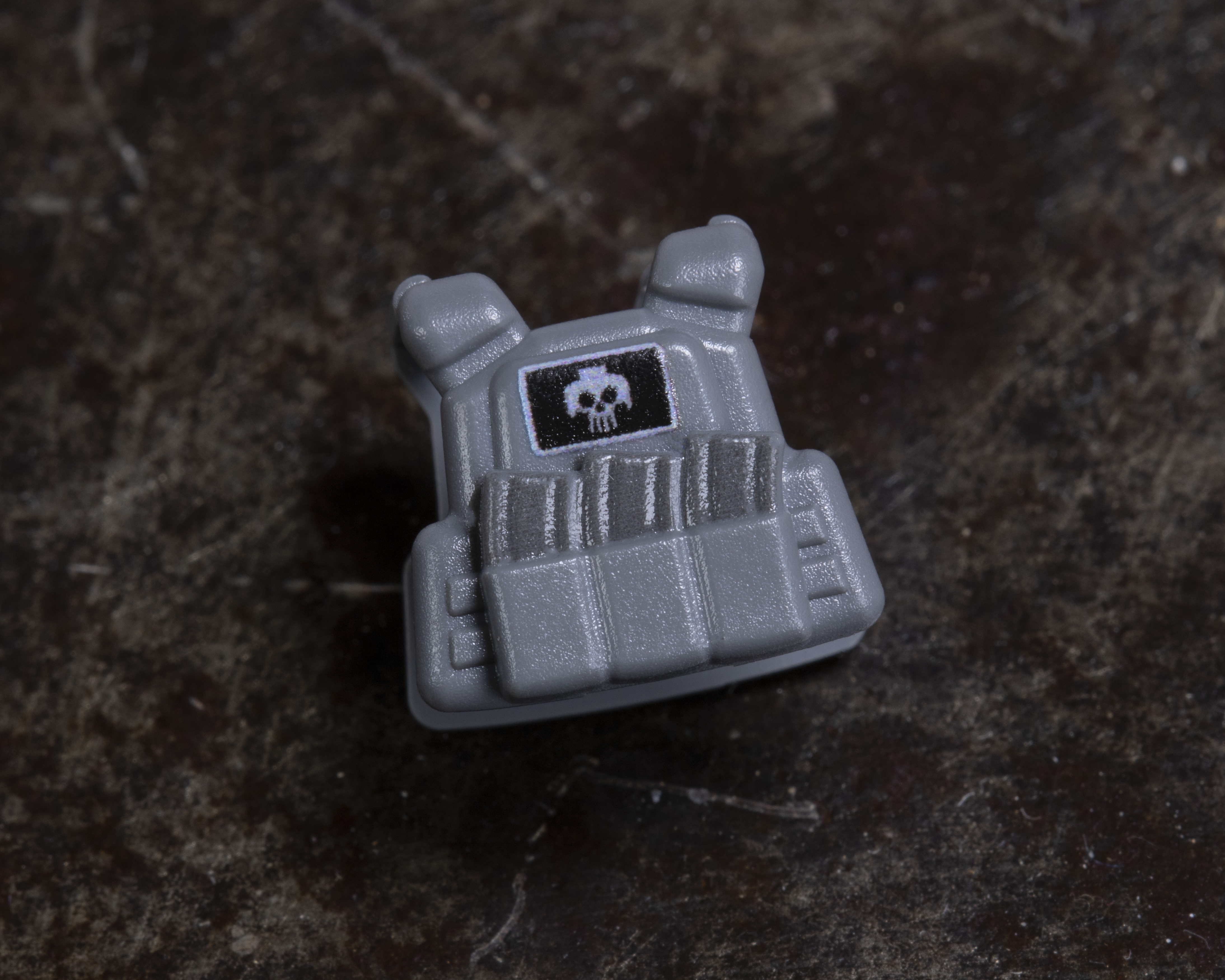 Plate Carrier Vest - Dark Grey with Skull Logo Patch