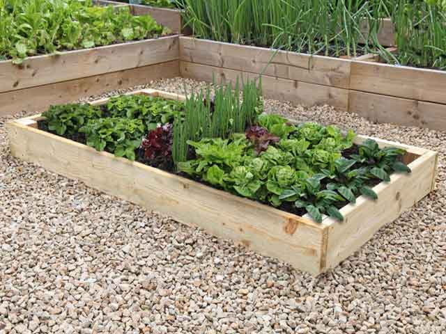 Raised Vegetable Beds Premier 9in High Timber Raised Bed Kits