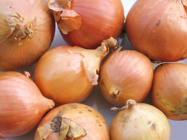 Onion Sets 'Sturon' Maincrop Onions
