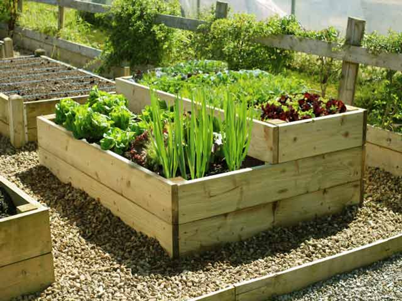 Split level timber raised bed