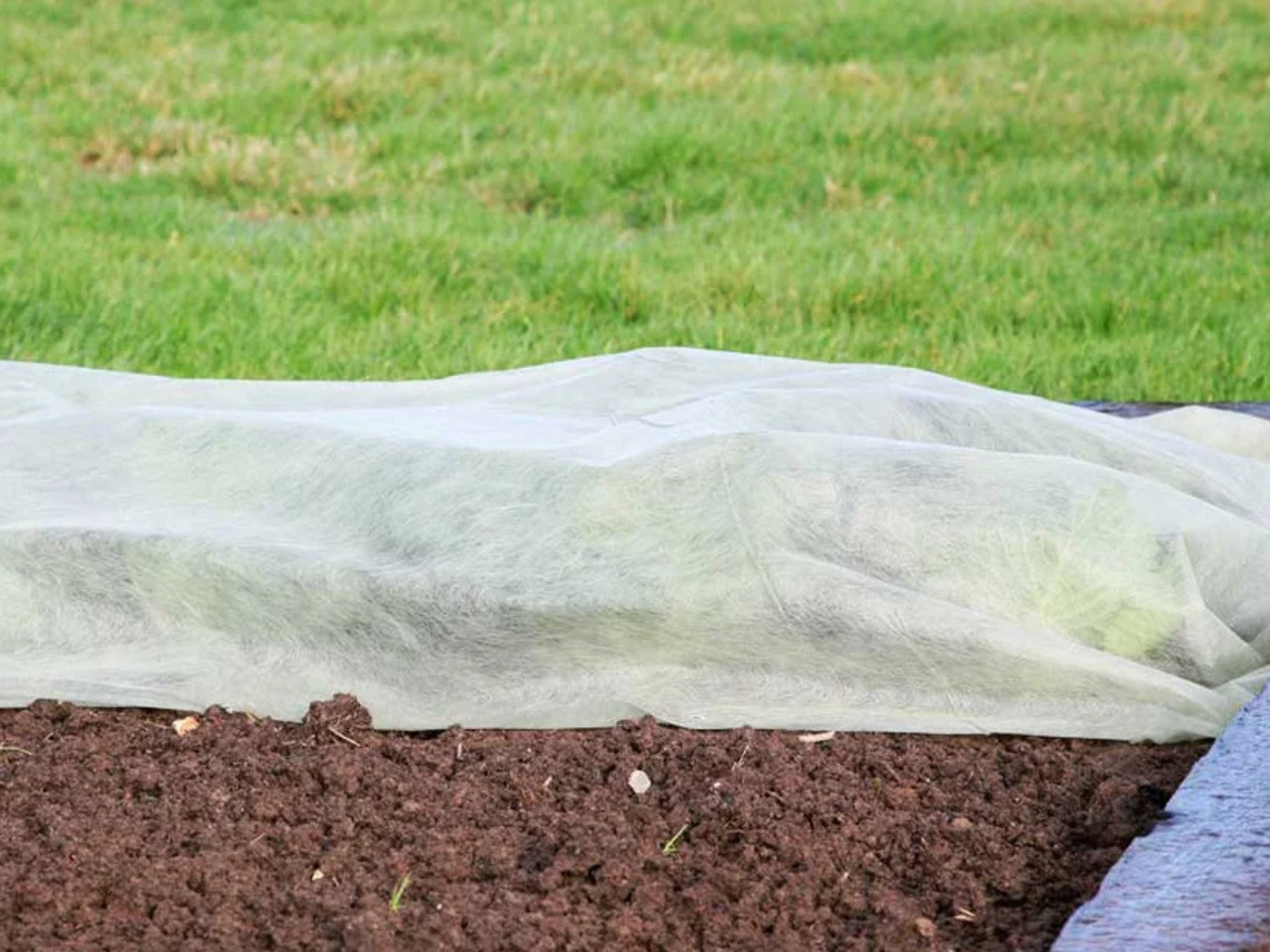 horticultural fleece in the garden