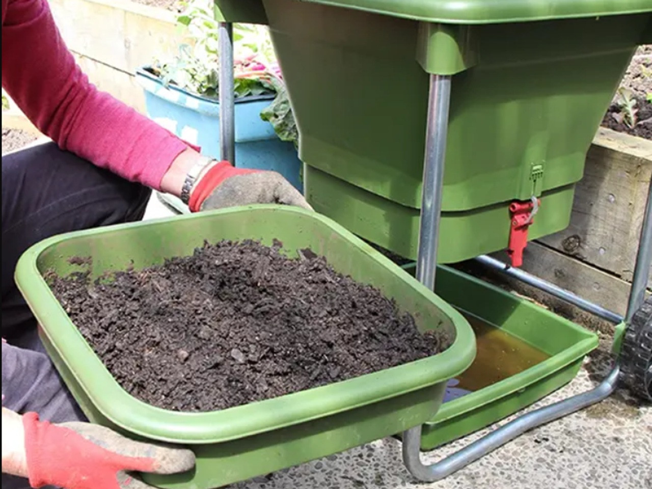 Hungry Bin vermicompost