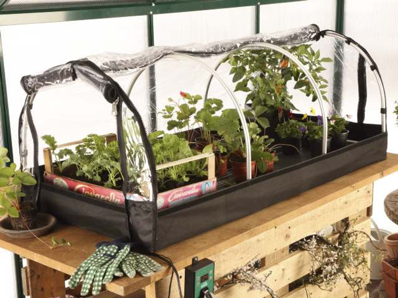 The Bio Green Jumbo propagator