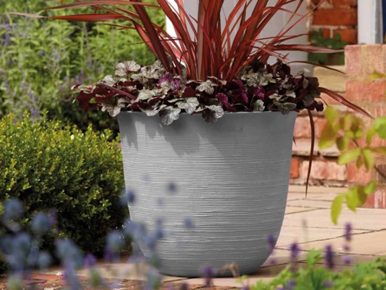 Sahara planter