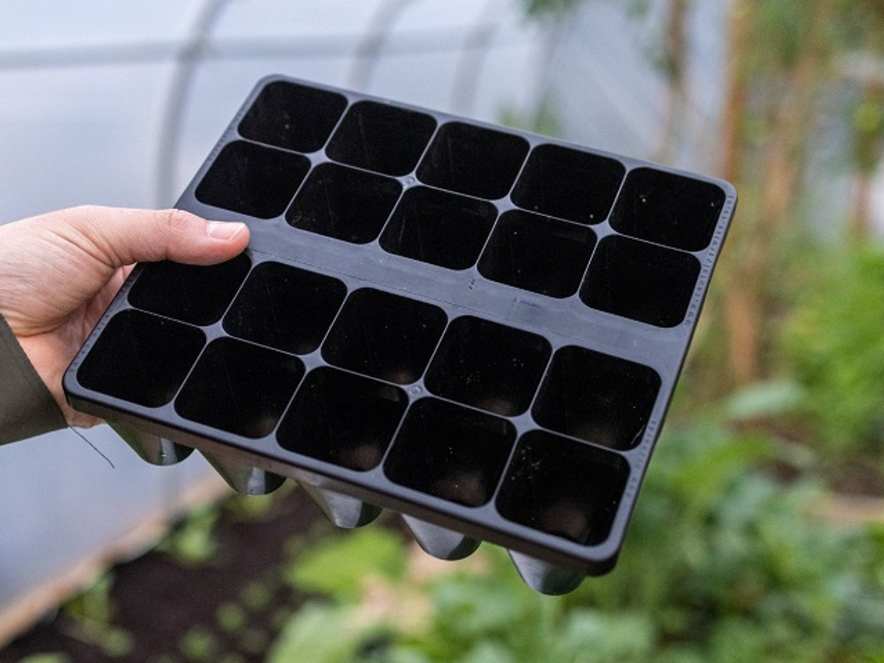 Huw Richards seed tray