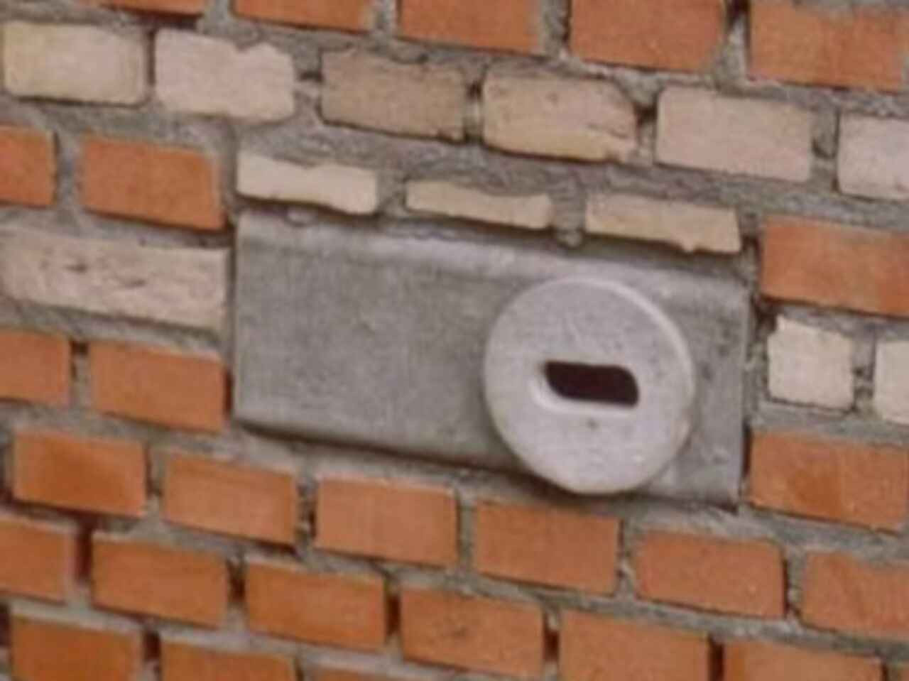 Swift Box Window Single Swift Box - Schwegler - 17B