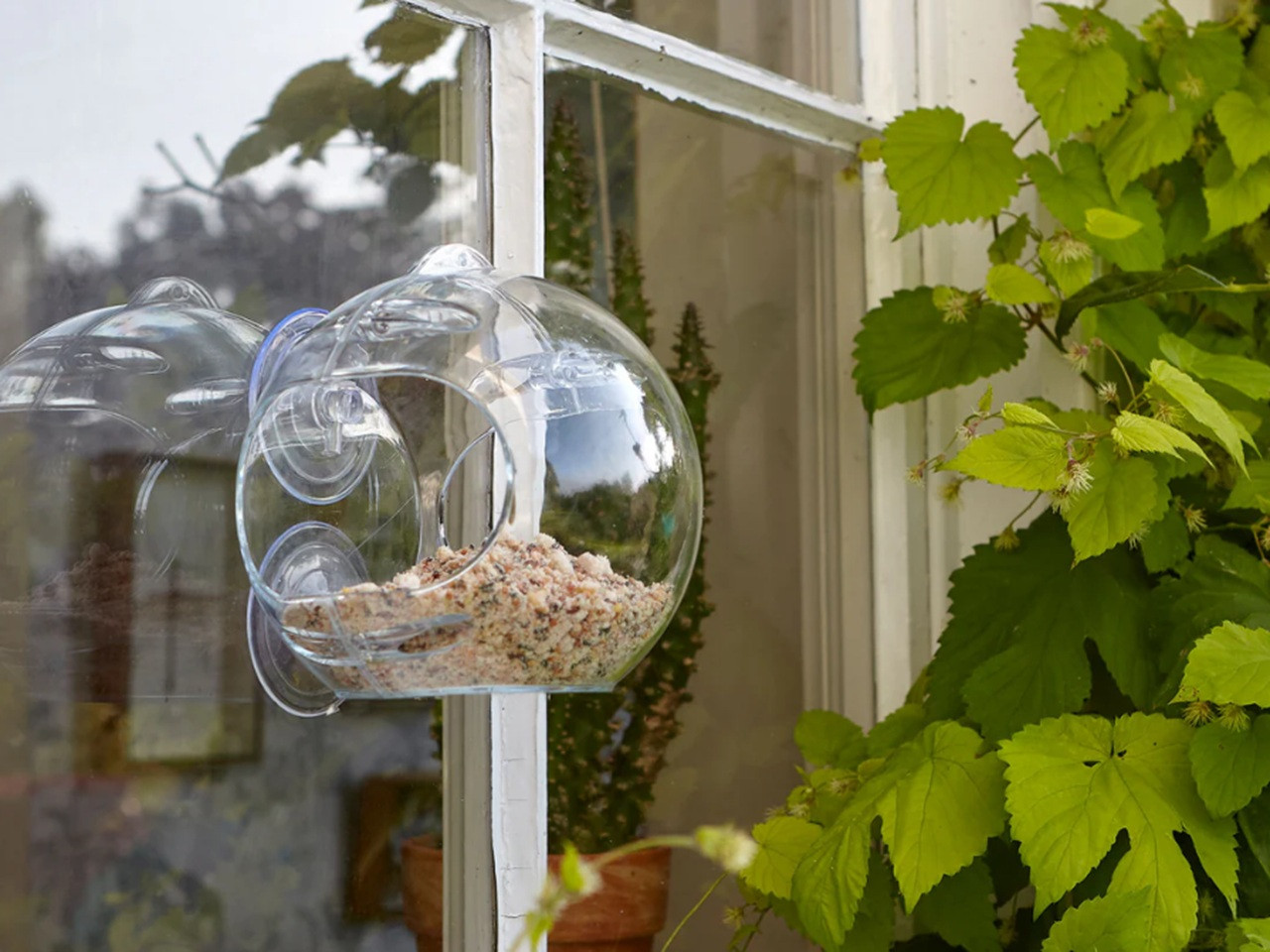 globe shaped window feeder