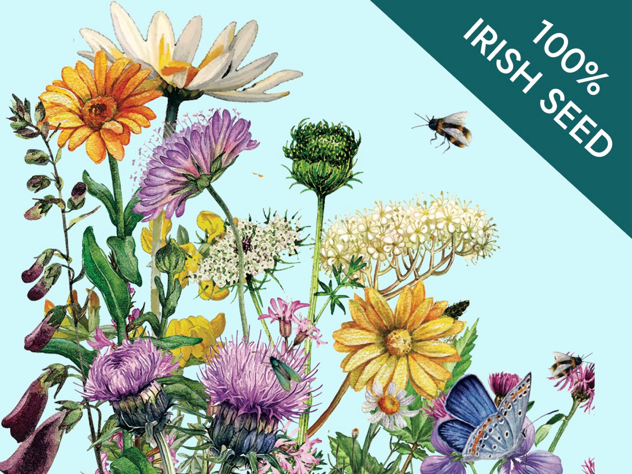 wildflowers graphic - part shade hedgerow mix