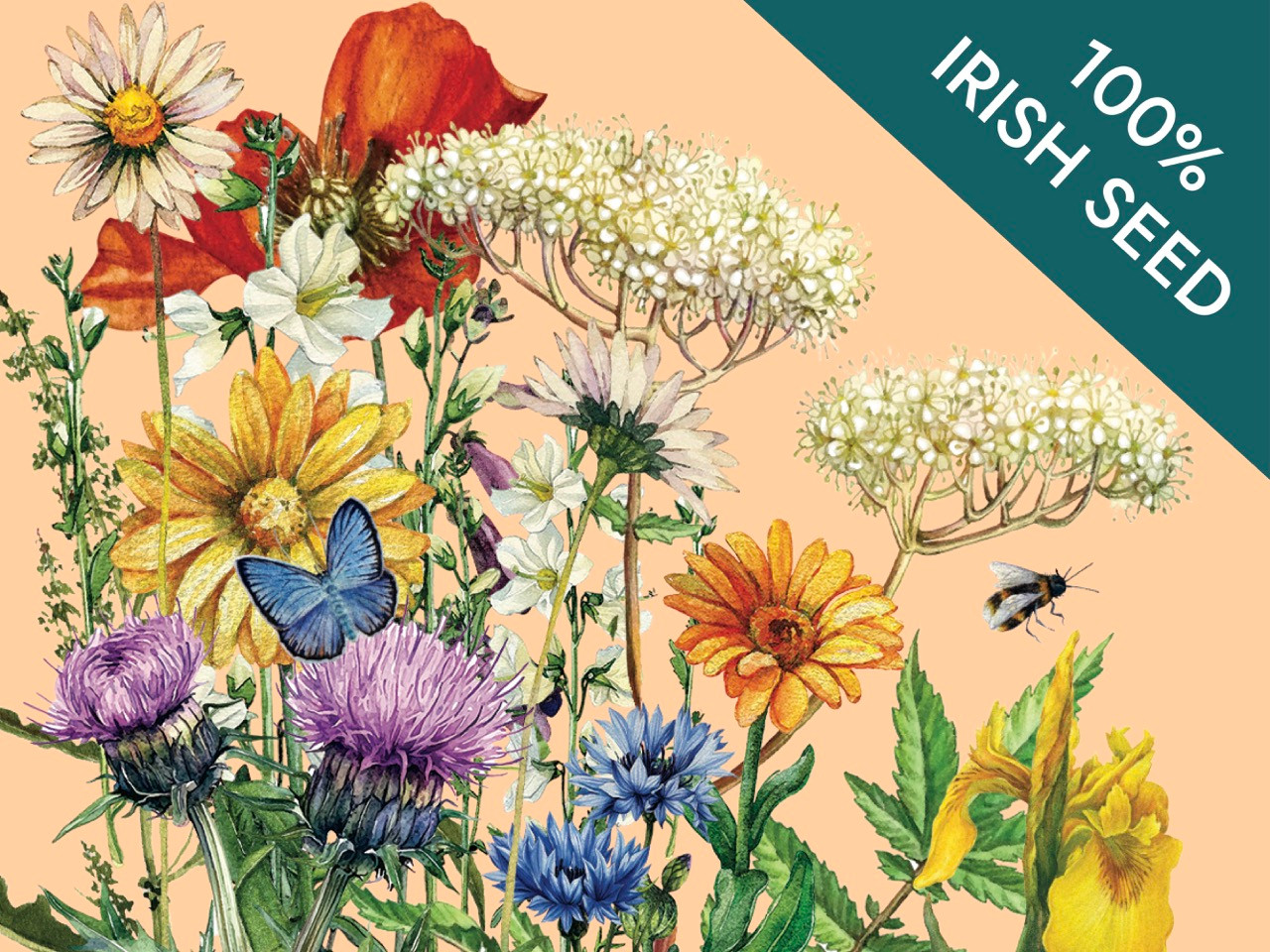 wildflower graphic - tall flowering meadow