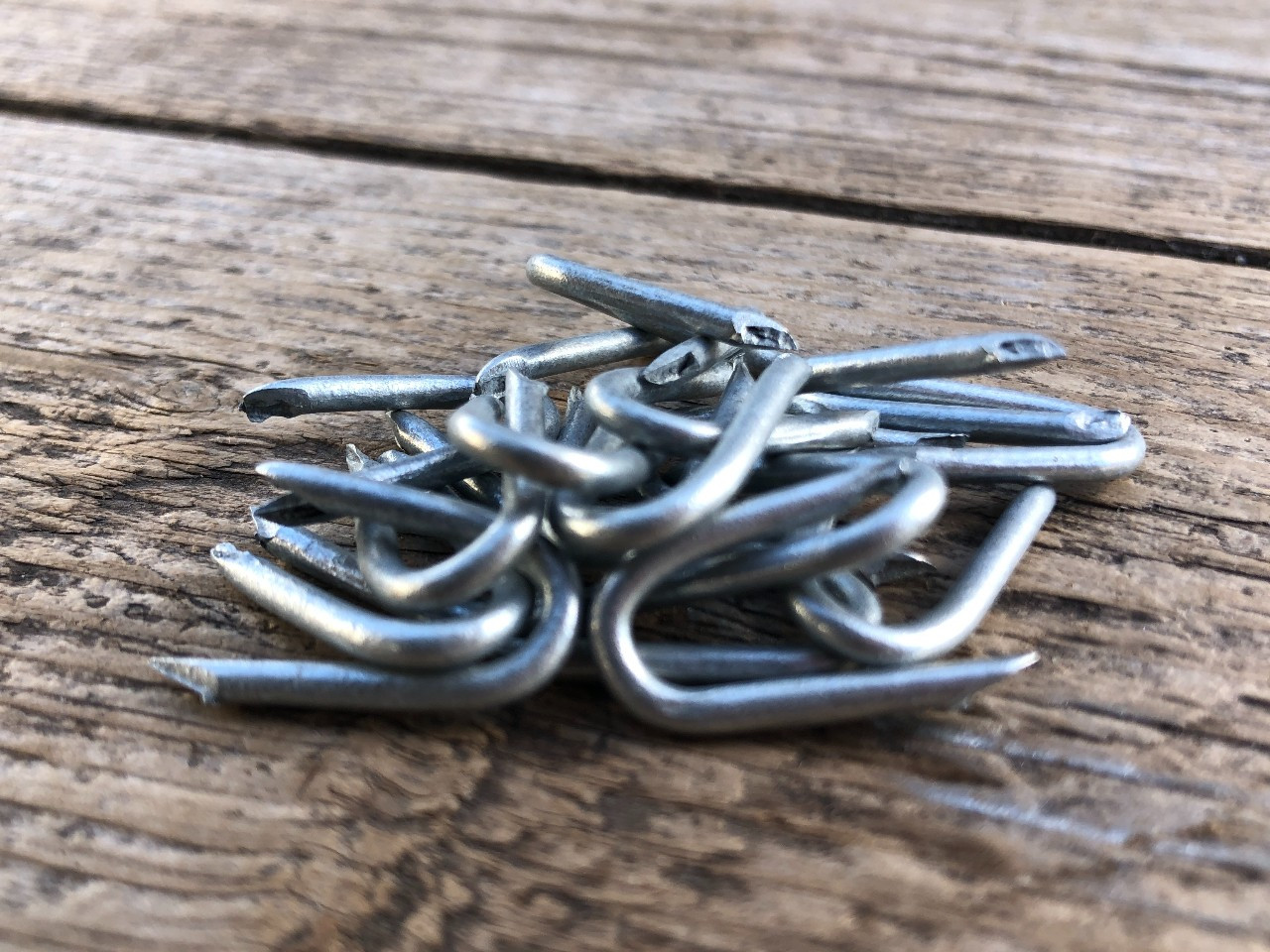 Galvanised Netting Staples
