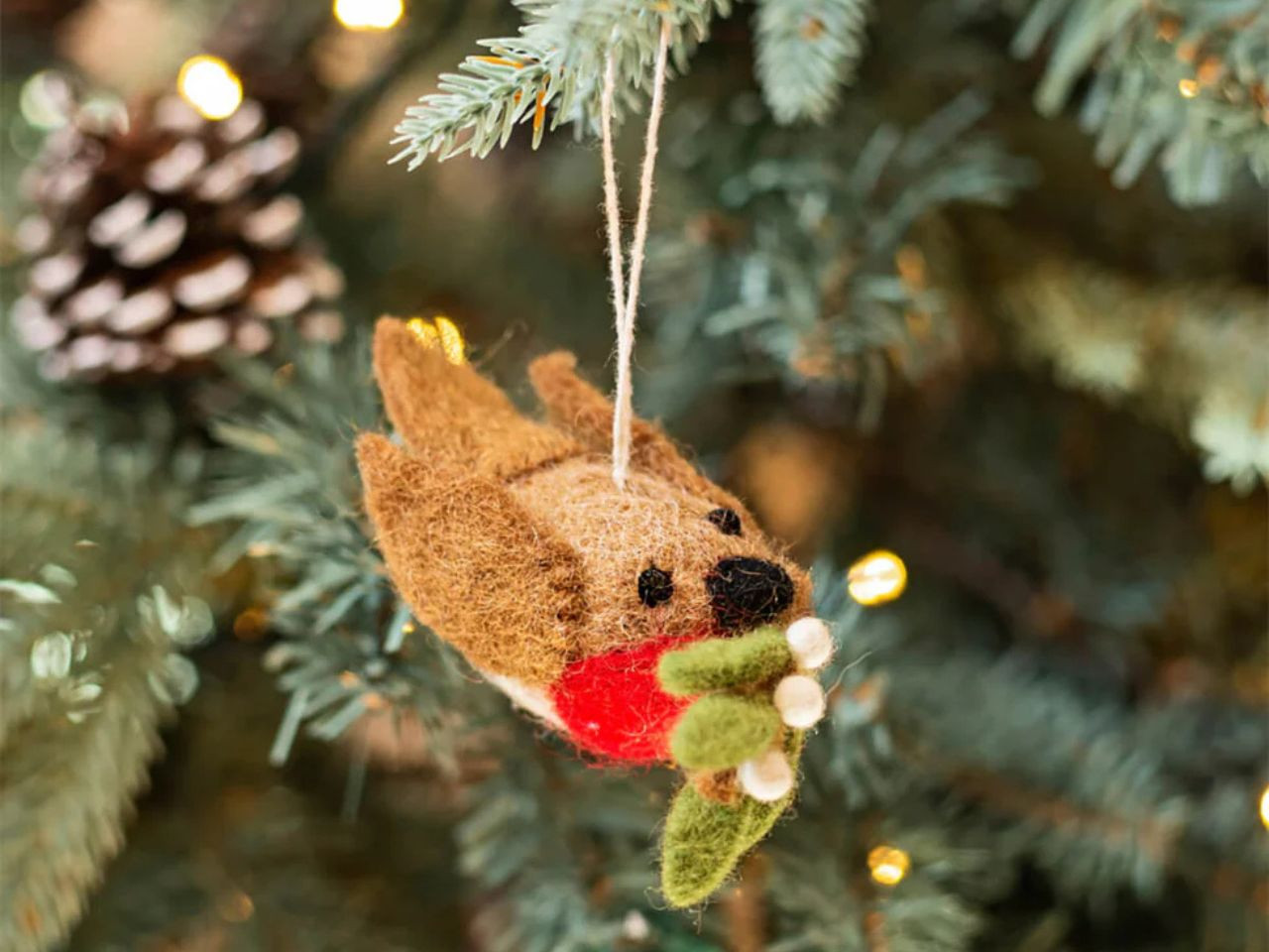 Robin holding Holly and Mistletoe