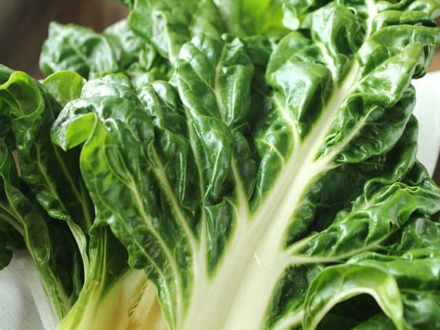 Fordhook Giant chard