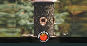 Outdoor Bird Feeders for Irish Gardens