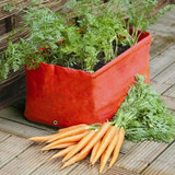 Beginners Vegetable Garden Kits