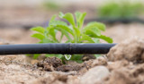 The Quickcrop Garden Irrigation System