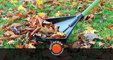 How to Make Leaf Mould from Autumn Leaves