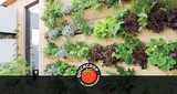 Green Wall Gardens - Living Walls & Vertical Gardening