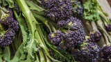 How To Grow Sprouting Broccoli 