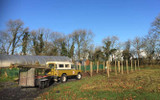 Building a timber fruit cage