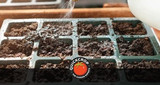 A Guide to Seed & Potting Compost
