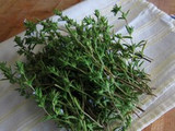 How To Grow Summer Savory