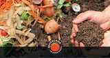 How To Speed Up the Composting Process