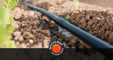 How to Maintain a Drip Irrigation System
