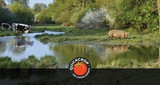 The Benefits of Rewilding 