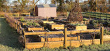 February in the Vegetable Garden