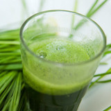 How To Grow Wheatgrass - 5 Easy Steps