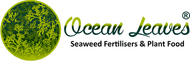 Ocean Leaves