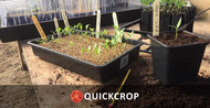 The Quickcrop garden in March - dealing with a wet Spring