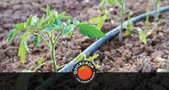 What is Drip Irrigation?