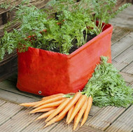 How to Grow Carrots In Containers
