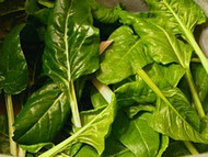 How To Grow Perpetual Spinach