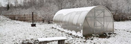 Vegetable Growing in Late Winter