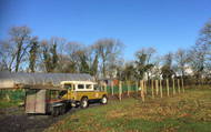 Building a timber fruit cage