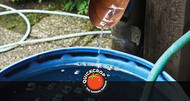 Watering Plants with Rainwater