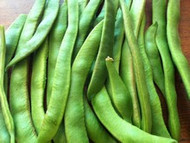 How To Grow Runner Beans