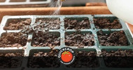 A Guide to Seed & Potting Compost A Guide to Seed & Potting Compost