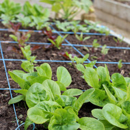 New Square Foot Garden Plans