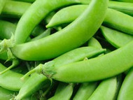 How To Grow Sugar Snap Peas